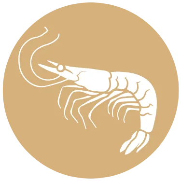 Seafood Icon